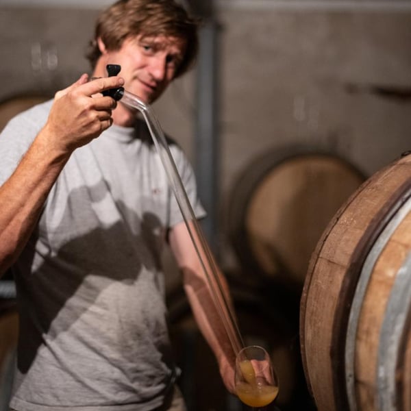 Domaine Alexis de Benoist - Alexis de Benoist