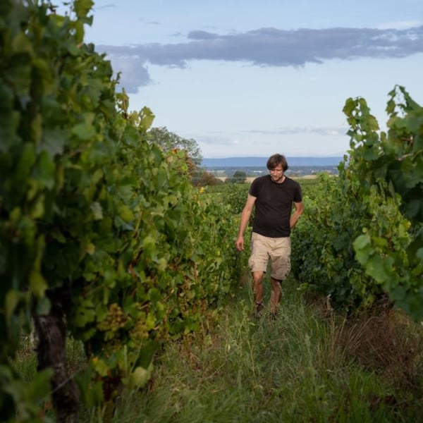 Domaine Alexis de Benoist - Alexis de Benoist