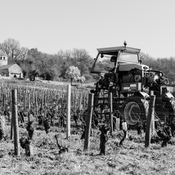 Domaine Alexis de Benoist - Alexis de Benoist