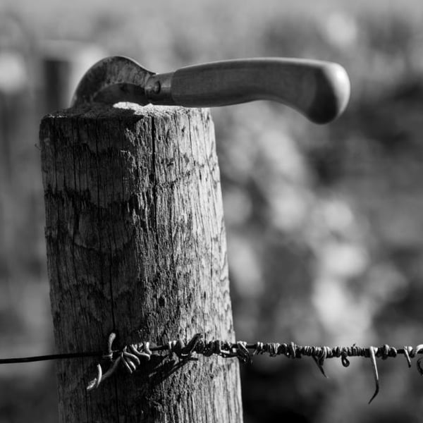 Domaine Alexis de Benoist - Alexis de Benoist