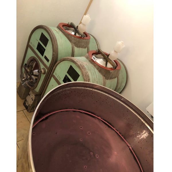 Azienda Agricola Costa Digiano - Amy Wadman & Mirco Lucamarini