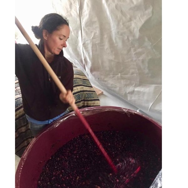 Azienda Agricola Costa Digiano - Amy Wadman & Mirco Lucamarini