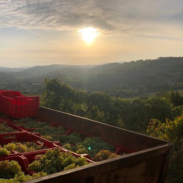 Podere Cervarola - Andrea Della Casa