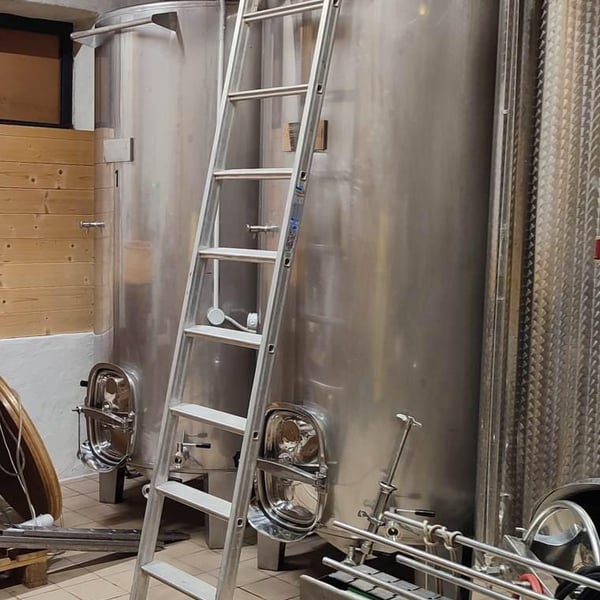 Azienda Agricola Nebraie - Andrea Tacchella