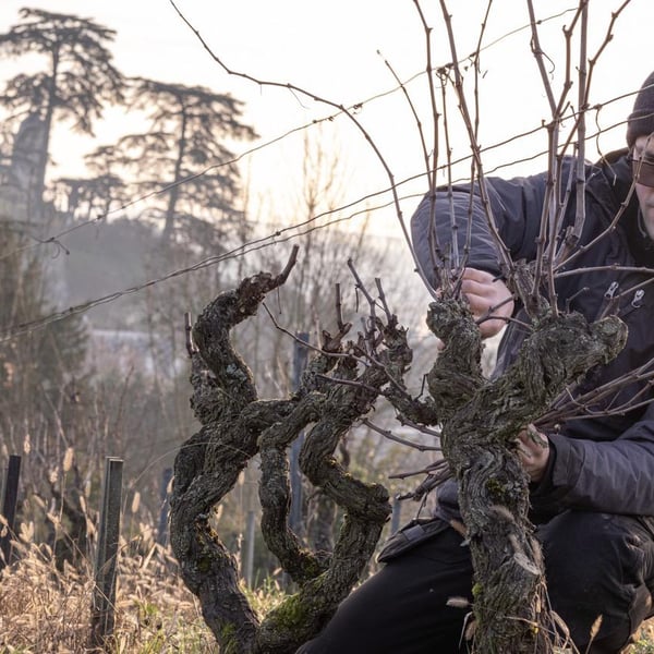 Antoine Labrosse et Henri Bruneau