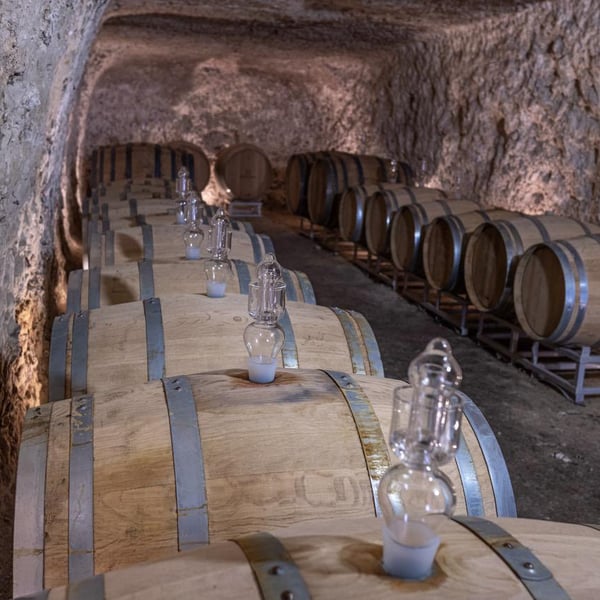 Domaine Clos de l’Epinay - Antoine Labrosse et Henri Bruneau