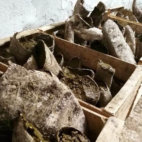 Vigne Del Pellagroso - Antonio Camazzola