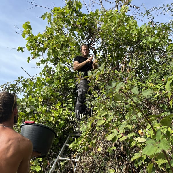 Arthur Bohn et Josselin Lutz