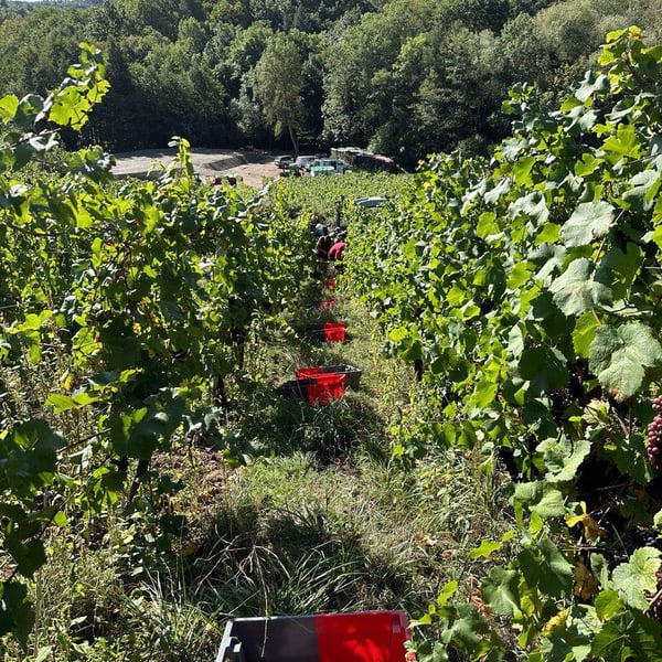 Arthur Bohn et Josselin Lutz