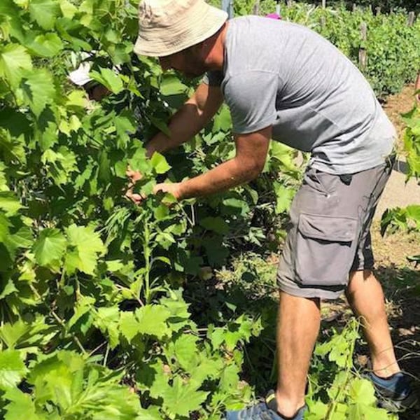 La Cuverie Revonnas - Aurélien Beyeklian