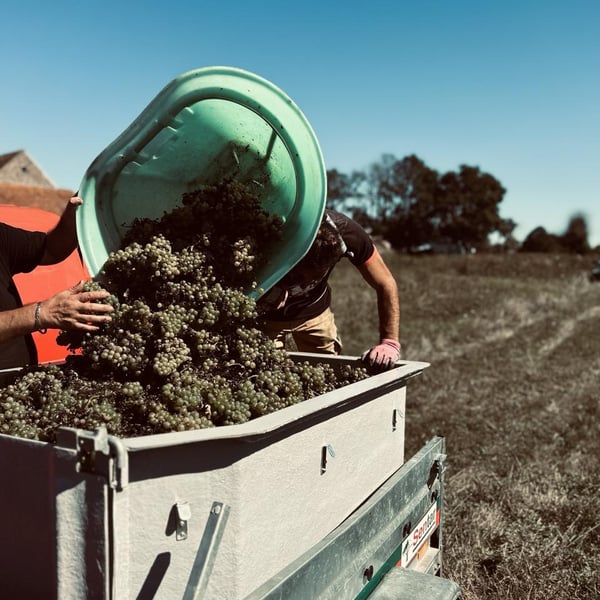 Maison Gazeau-Baldi - Aurély et Jean-Damien Gazeau-Baldi