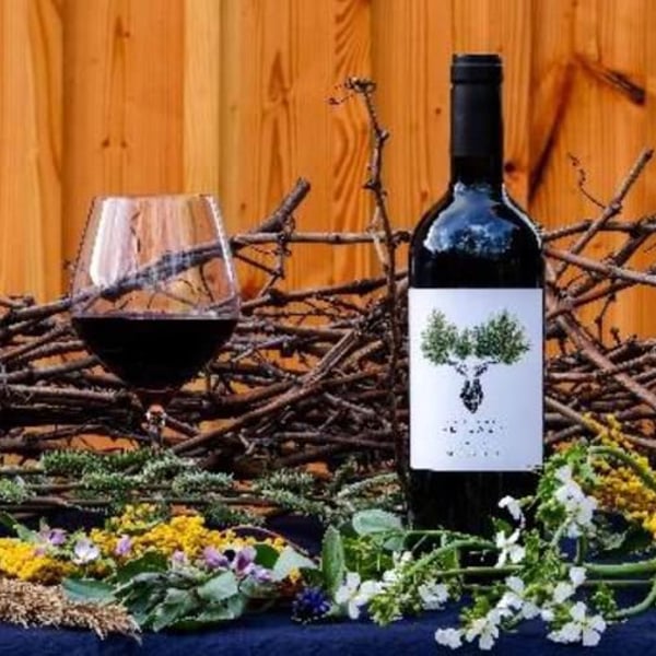 Château Peylaby - Blandine & Jérémy Borde