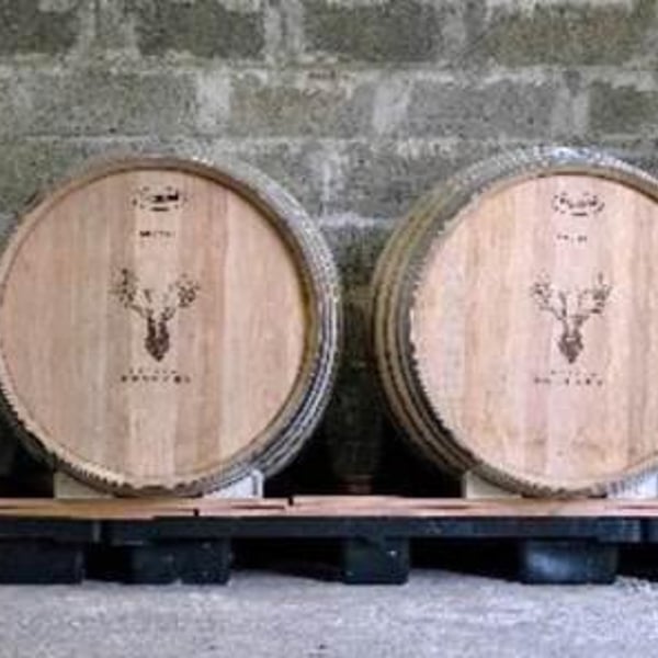 Château Peylaby - Blandine & Jérémy Borde