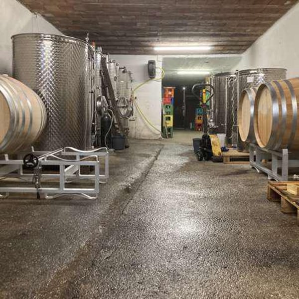 Projekt: Wildtyp - Boris Kovacic