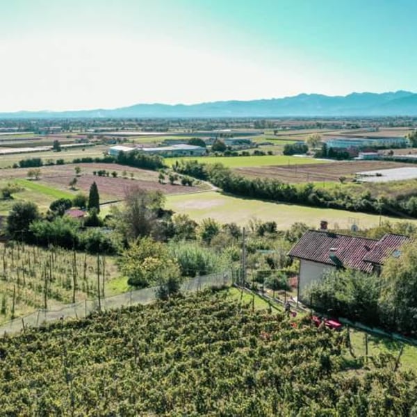 Braccia Rese Società Semplice Agricola