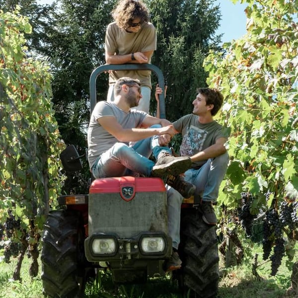 Braccia Rese Società Semplice Agricola