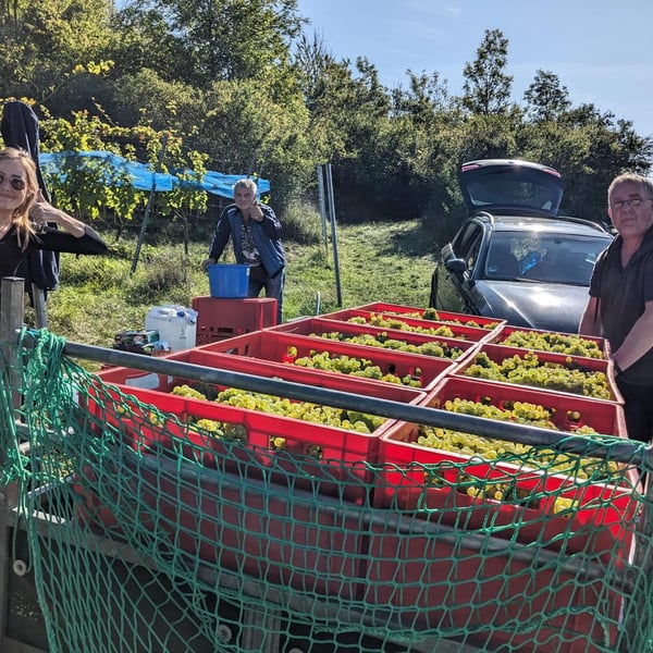 Weingut Carl-Friedrich L. Walther - Carl-Friedrich L. Walther