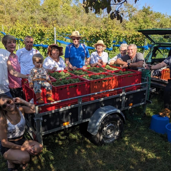 Weingut Carl-Friedrich L. Walther - Carl-Friedrich L. Walther