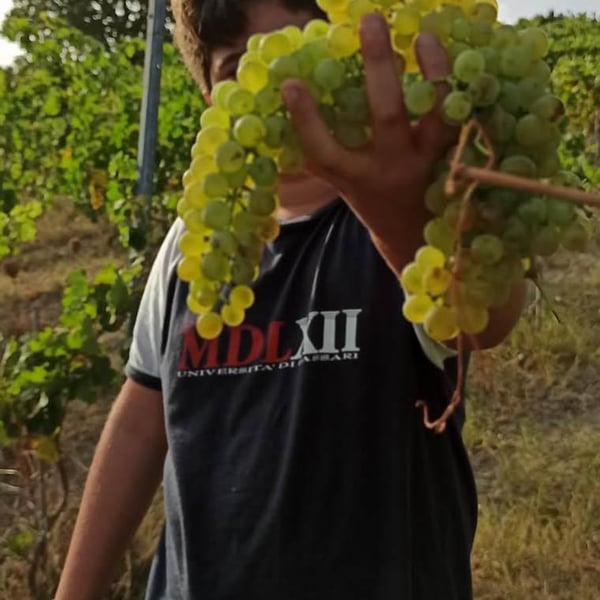 Deperu Holler - Carlo Deperu & Tatiana Holler