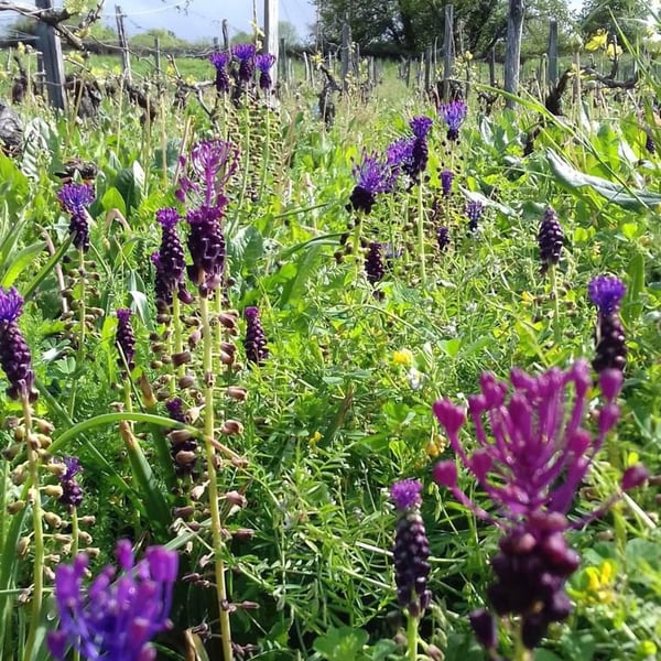 Cécile Routier & Jean Dubien