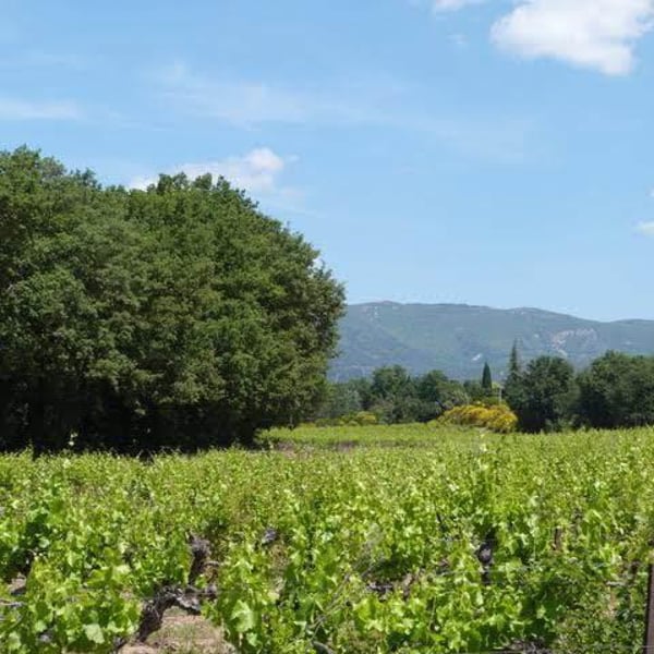 Les Tuiles Bleues - Céline Laforest