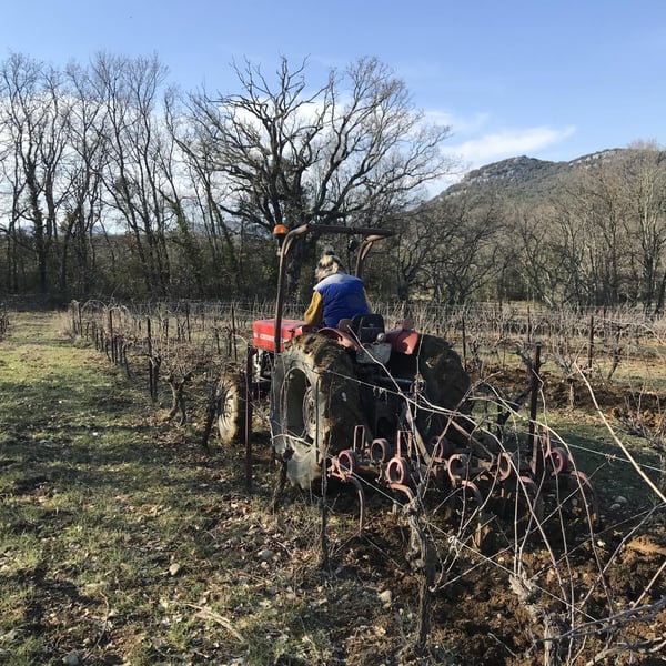 Charlie Bay, Adrien Veyrunes et Samuel Dautheville
