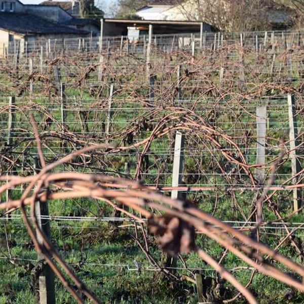 Christian Gourgourio