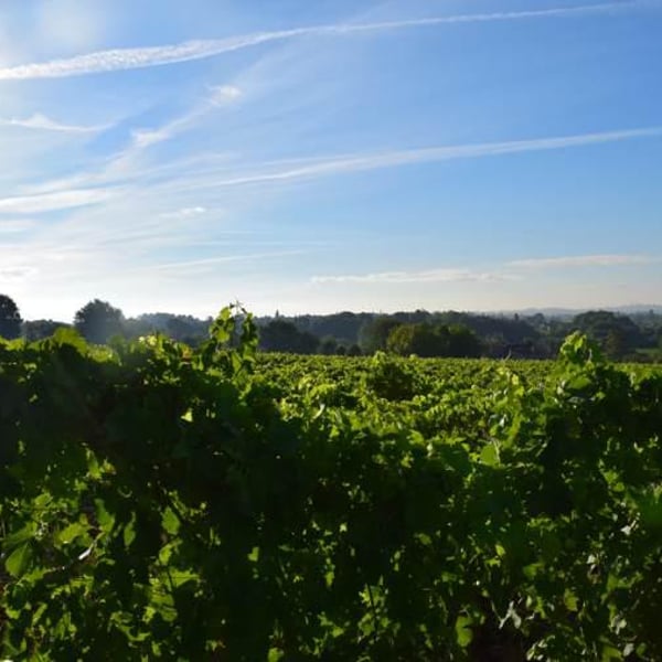 Christian Gourgourio