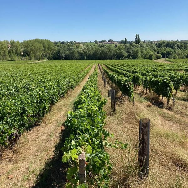 Christian Gourgourio