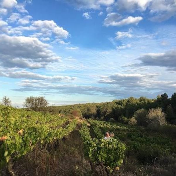 Domaine Du Phénix - Christian Marti