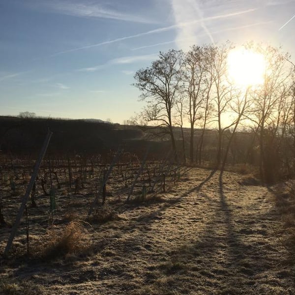 Christoph & Mathilde Daignière-Koller