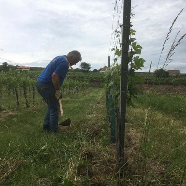 Christoph & Mathilde Daignière-Koller