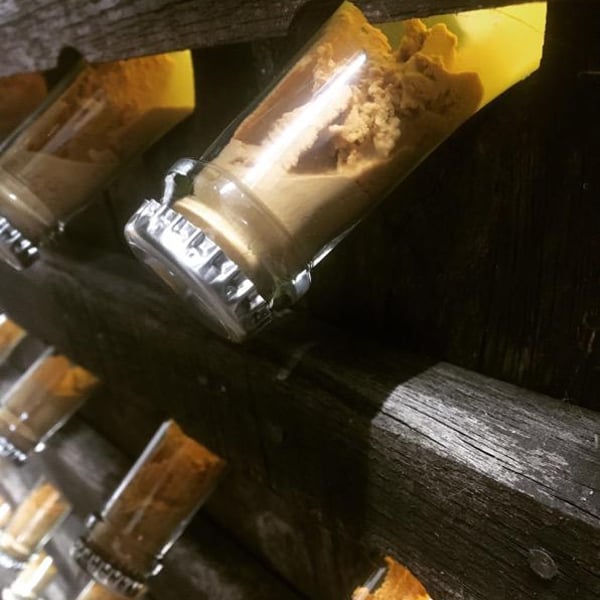 Weingut Nord & Süd - Christoph & Mathilde Daignière-Koller