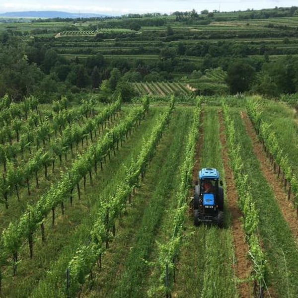 Christoph & Mathilde Daignière-Koller