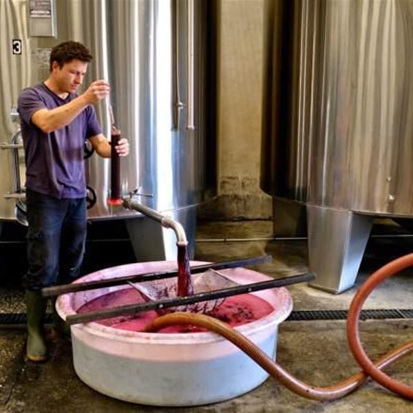 Château les Vieux Moulins - Damien Lorteau