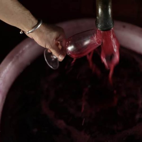 Fattoria di Sammontana - Daniele , Andrea & Lorenzo Dzieduszycki