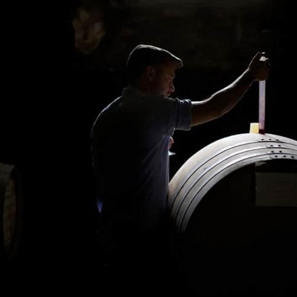 Fattoria di Sammontana - Daniele , Andrea & Lorenzo Dzieduszycki