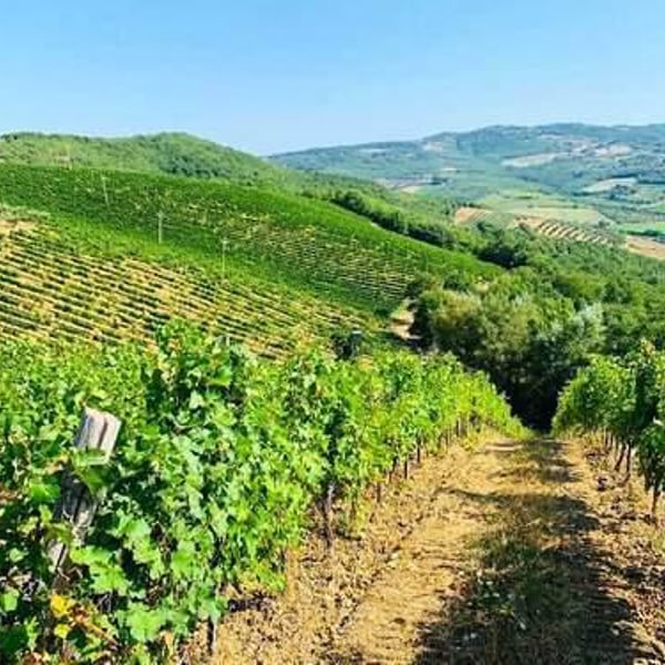 Programma Agricolo Dinamo - Danilo Marcucci, Rachele, Simone & Danilo Nofrini