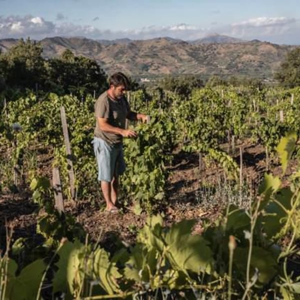 Etnella - Davide Bentivegna