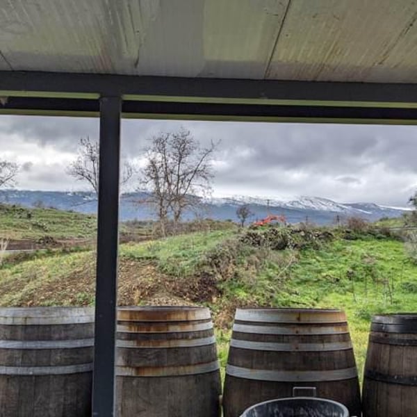 Etnella - Davide Bentivegna