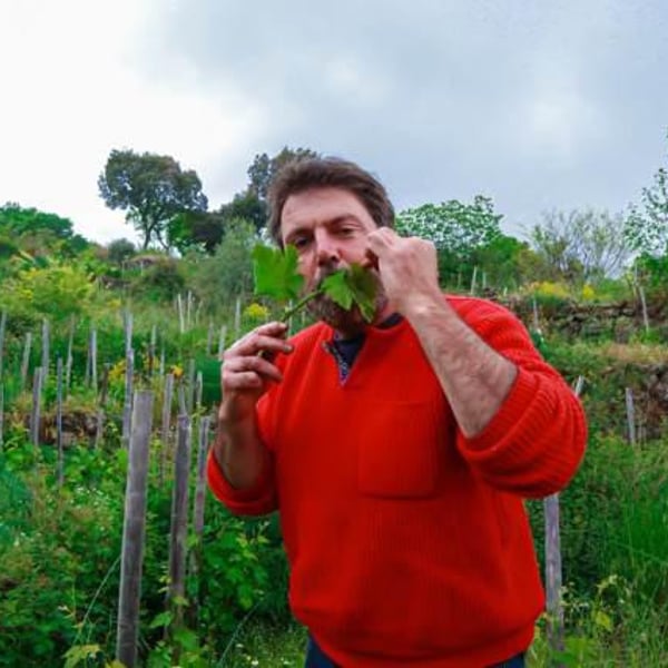 Etnella - Davide Bentivegna