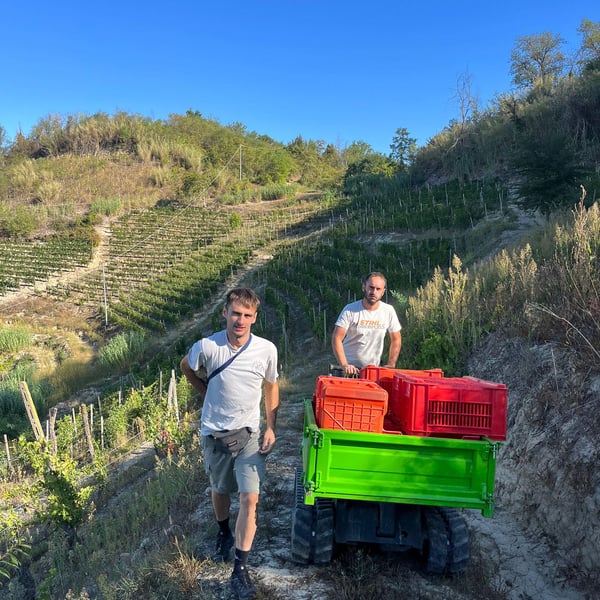 Casa Tallone - Davide & Matteo Sacchetto