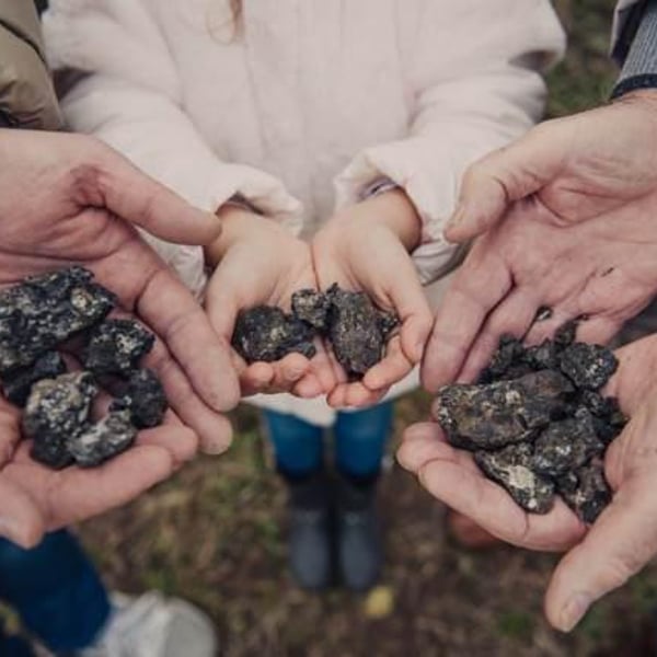 Davide Vignato Azienda Agricola - Davide Vignato