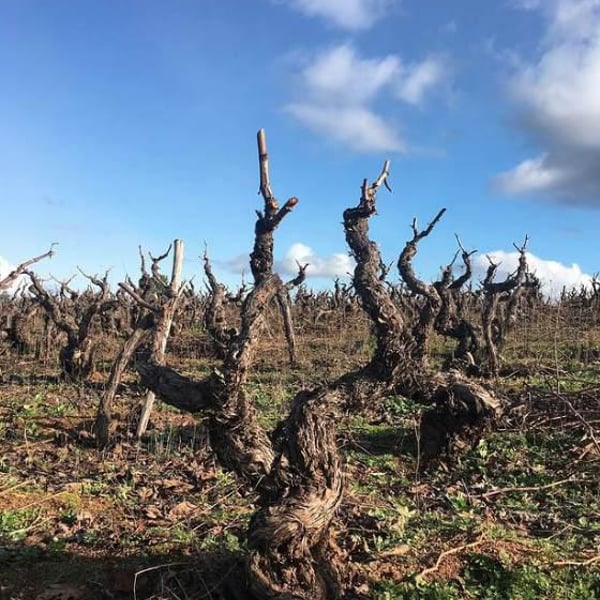 Elena Pantaleoni & Nicola Massa