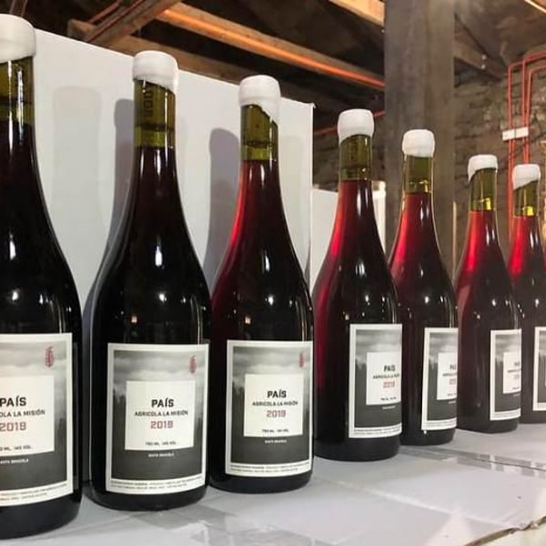 Elena Pantaleoni & Nicola Massa