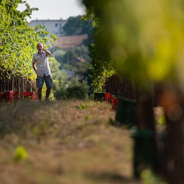 Azienda Agricola I Chicchi - Enrico Rosati & Federica Marelli