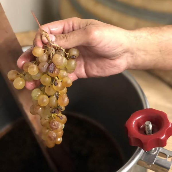 Cantina Mezzacane - Eugenio Barbieri, Caterina e Andrea Vistarini