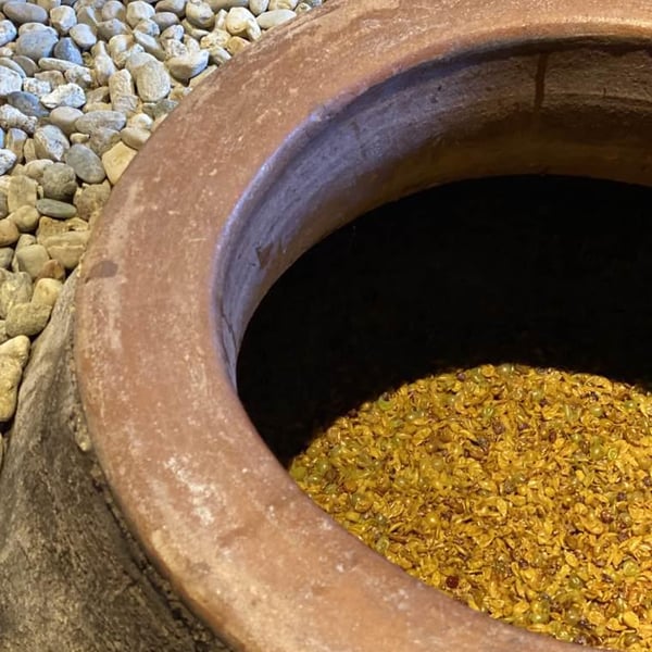 Cantina Mezzacane - Eugenio Barbieri, Caterina e Andrea Vistarini