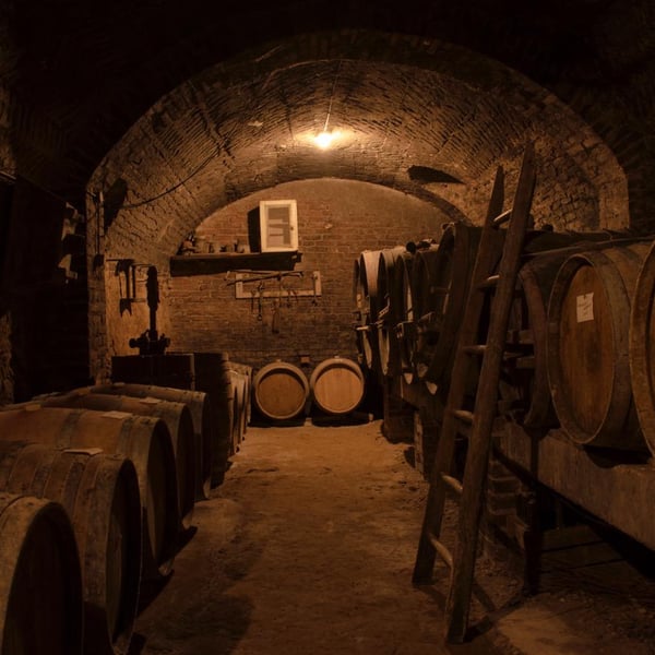 Oliviero Pastoris - Eugenio Pastoris