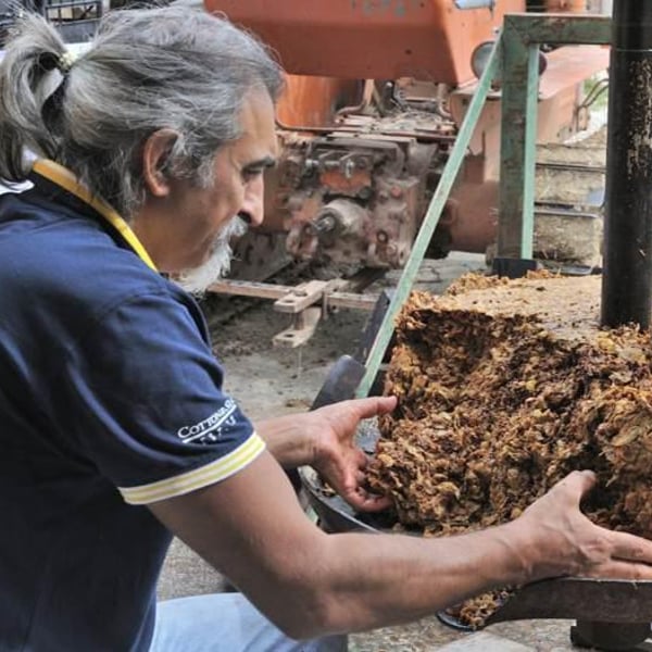 Azienda Agricola McCalin - Federico Nardi